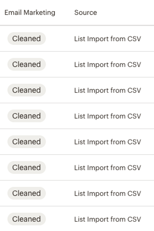 Cleaned Emails on Mailchimp screenshot