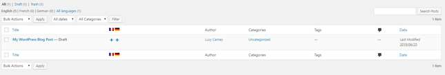 wordpress multilingual posts