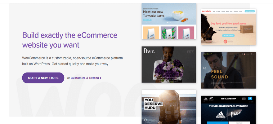 woocommerce enterprise home