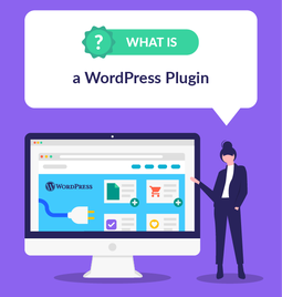 what is a wordpress plugin