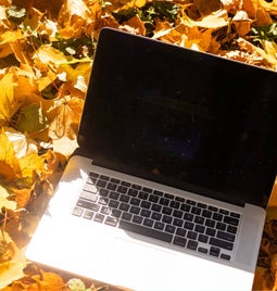 Screenshot of a laptop in a pile of fall leaves