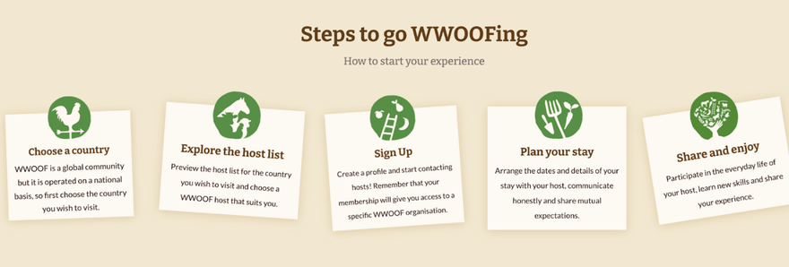 Five Wwoofing steps are shown on white cards against a beige background