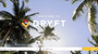 Dryft website screenshot 1