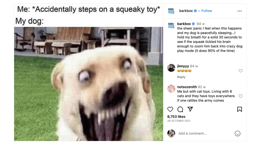 Barkbox meme marketing example