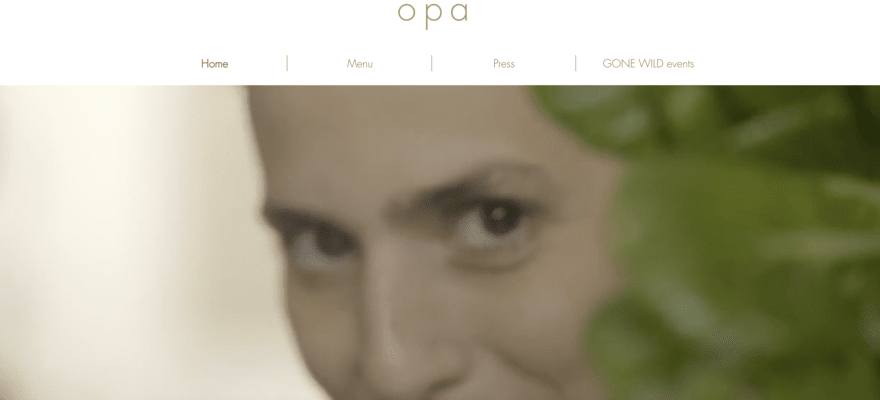 Opa website