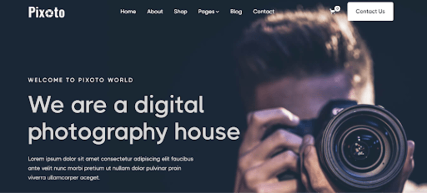 Pixoto by Webflow