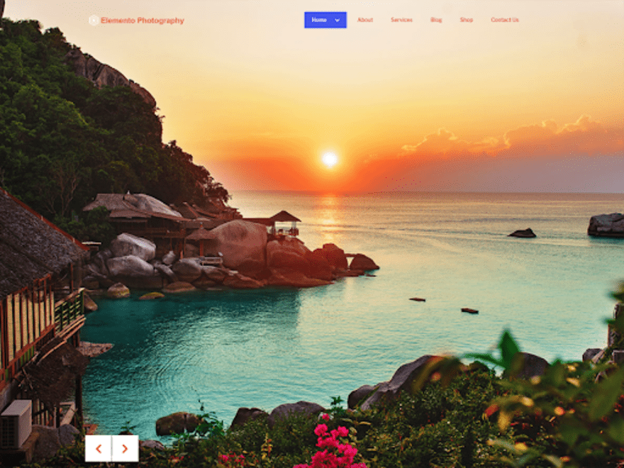 Elemento Photography template from WordPress