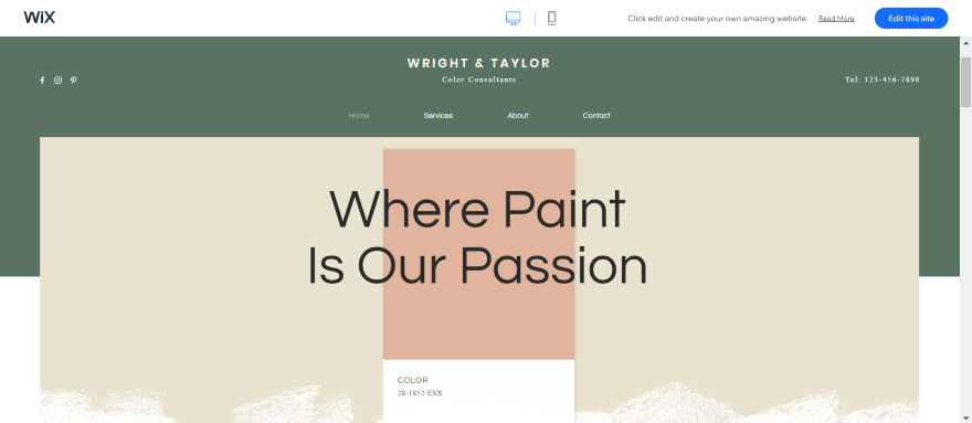 Screenshot of a Wix business landing page for a color consultant business with a header that goes "Where Paint Is Our Passion".