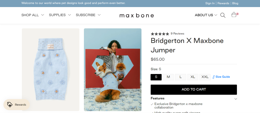 Woman posing with a dog wearing a Bridgerton-inspired jumper from an ecommerce fashion site.