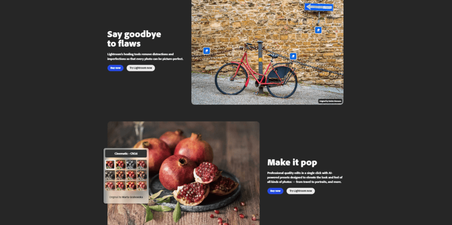Lightroom website homepage with text saying say goodbye to flaws and make it pop