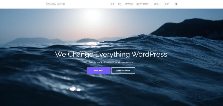 Shapely website template