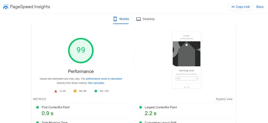 Screenshot of PageSpeed insights showcasing a website's performance