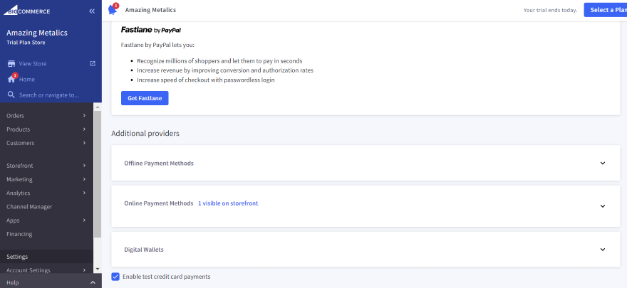 Screenshot of BigCommerce's payment section and a list of payment options available