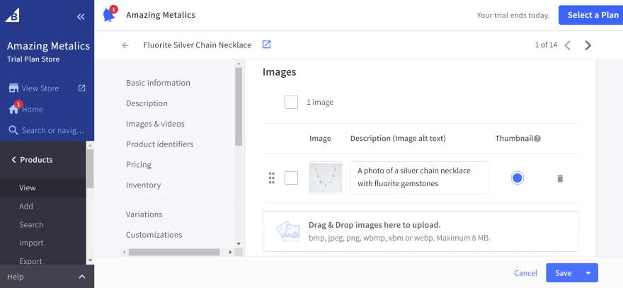 Screenshot of Bigcommerce's product listing page with the addition of image alt text